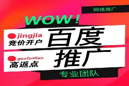 百度SEM广告投放效果评估的案例分析